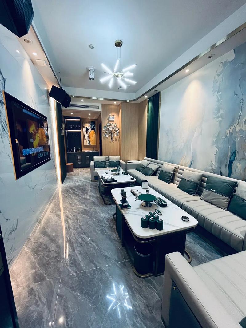 沈阳商务ktv计时攻略-苏家屯区ktv预定